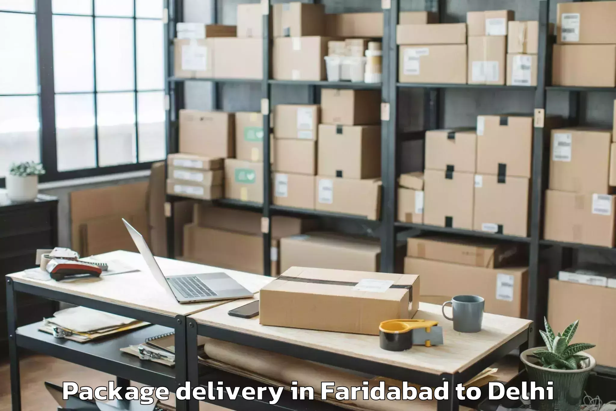 Reliable Faridabad to University Of Delhi Package Delivery